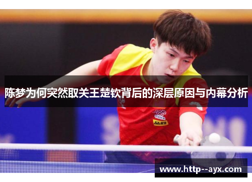 陈梦为何突然取关王楚钦背后的深层原因与内幕分析